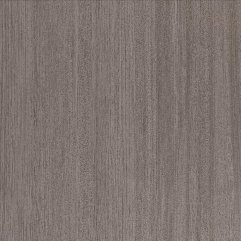 6019 Interior Film