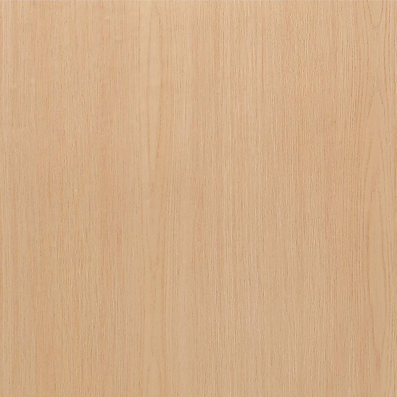 6004-2 Interior Film